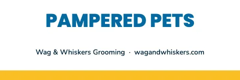 Pet grooming centered banner template