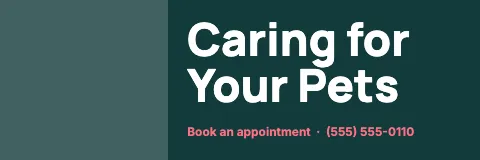 Veterinary clinic split banner template