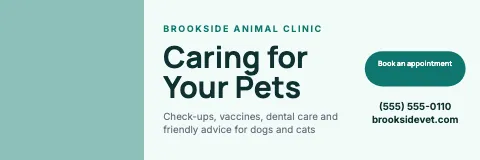 Veterinary clinic photo & pill banner template