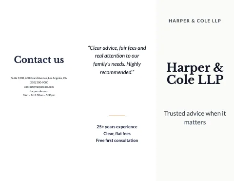 Law & finance minimal brochure template