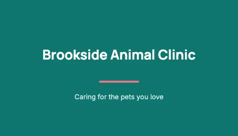 Veterinary clinic bold business card template
