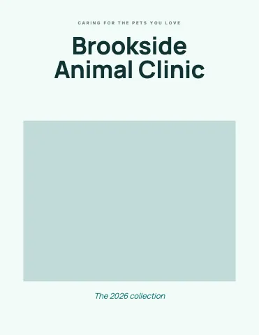 Veterinary clinic editorial catalog template