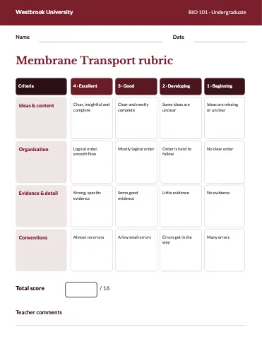 University & college grading rubric classroom form template