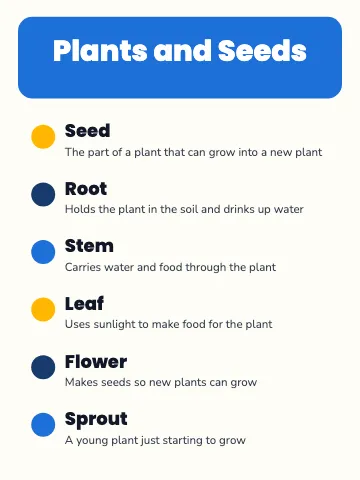 Elementary school anchor chart classroom poster template
