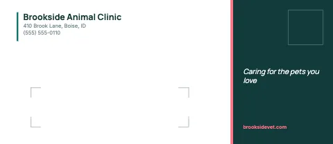 Veterinary clinic window envelope template