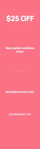 Veterinary clinic offer flag template