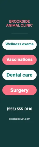 Veterinary clinic service pills flag template