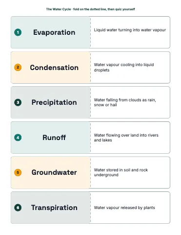 Middle school science fold-and-study strips flashcards template