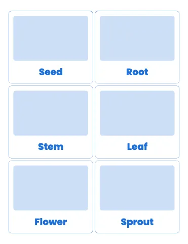Elementary school picture word cards flashcards template