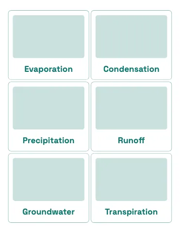 Middle school science picture word cards flashcards template