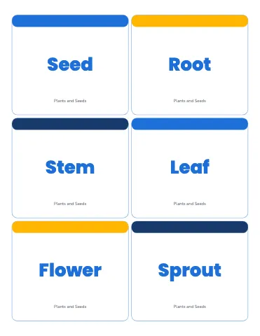 Elementary school vocabulary flashcards template