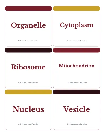 University & college vocabulary flashcards template