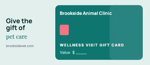 Veterinary clinic card style gift certificate template