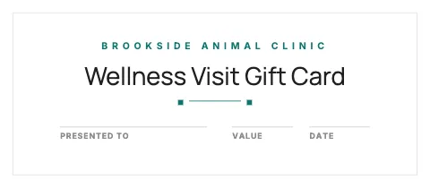 Veterinary clinic minimal gift certificate template