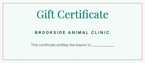 Veterinary clinic elegant gift certificate template
