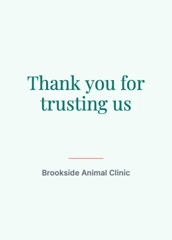 Veterinary clinic thank you greeting card template