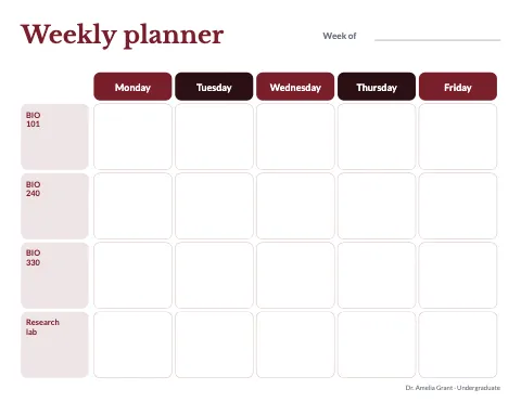 University & college weekly planner lesson plan template