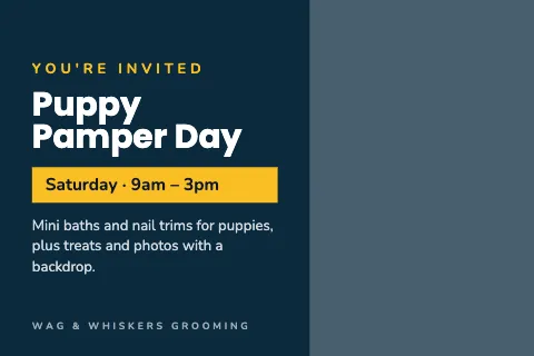 Pet grooming invitation postcard template