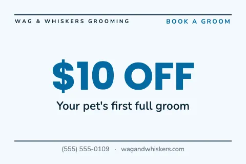 Pet grooming big offer postcard template