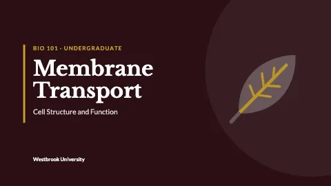 University & college professional lecture presentation template