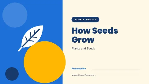 Elementary school student project kit presentation template