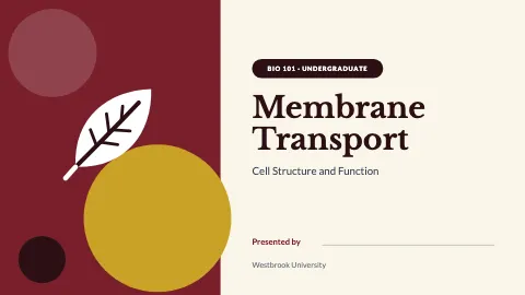 University & college student project kit presentation template