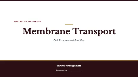 University & college thesis defense presentation template