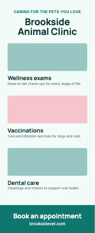 Veterinary clinic photo stack event display template