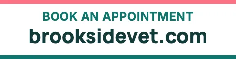 Veterinary clinic website sign rider template