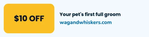 Pet grooming offer tag sign rider template