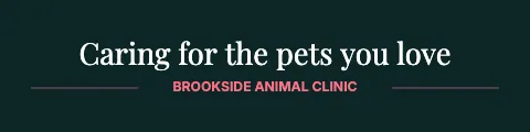 Veterinary clinic tagline sign rider template