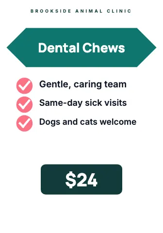 Veterinary clinic feature checks shelf talker template