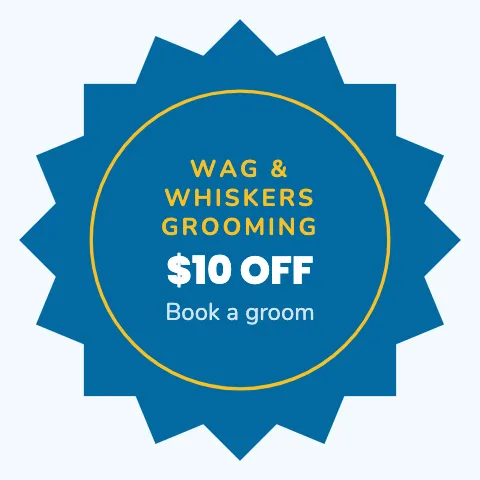 Pet grooming starburst sticker template