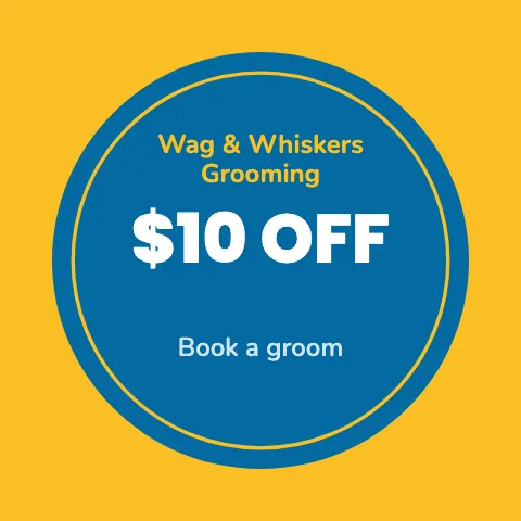 Pet grooming offer sticker template