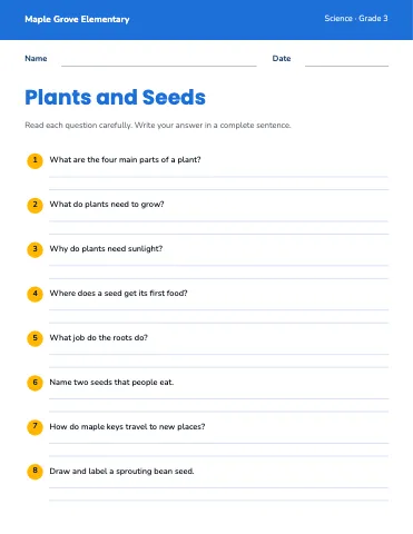 Elementary school question sheet worksheet template