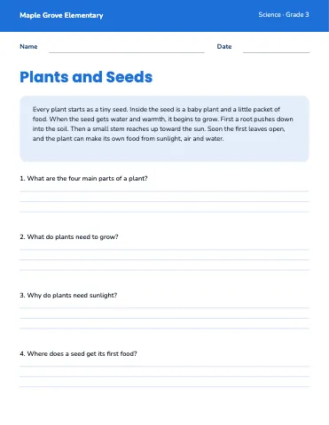 Elementary school reading comprehension worksheet template