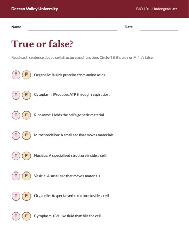 University & college true or false worksheet template
