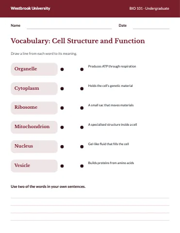 University & college vocabulary match worksheet template