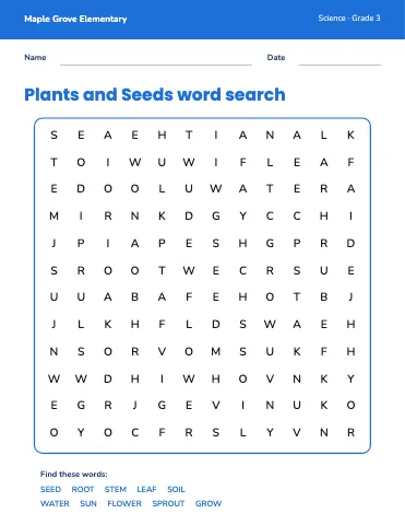 Elementary school word search worksheet template